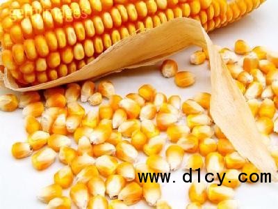 玉米种子越夏贮藏的方法