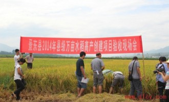 云南景东县县级水稻高产创建项目通过测产验收