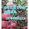 山东红富士苹果价格是多少 红富士苹果多少钱一斤