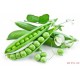 苏州老农 健康 放心安全食品 豌豆 青豆 荷兰豆