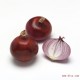 供应圆葱 优质紫皮红皮圆葱 质量优 专业销售洋葱多种规格包装