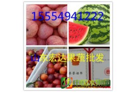 15554941222山东苹果 西瓜  毛桃产地批发市场价格