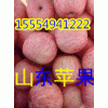 15554941222山东红星苹果批发价格红富士苹果哪里便宜